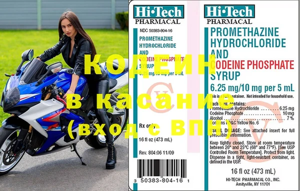 ГАЛЛЮЦИНОГЕННЫЕ ГРИБЫ Богданович